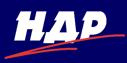 [Flag of party “Our home is Russia”]